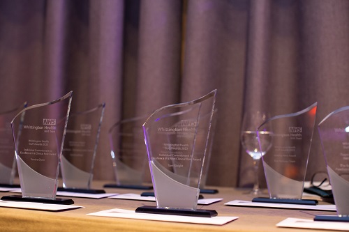 A photo of the awards trophies - made of glass, on a table.
